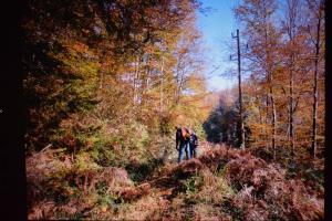 Urejanje poti Speca lepotica, foto I Zaplotnik in O Skarja (2)